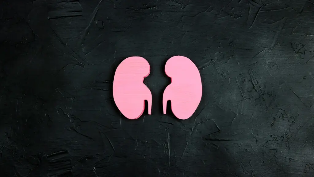 lung image