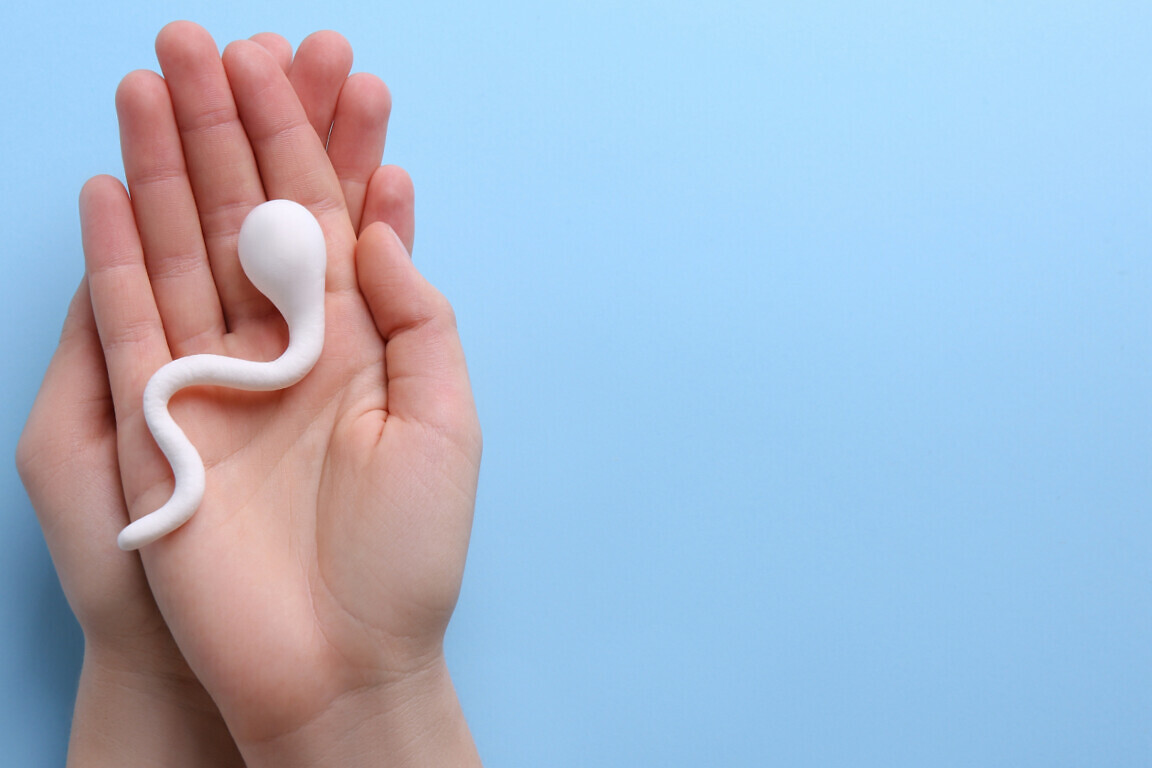 Male fertility