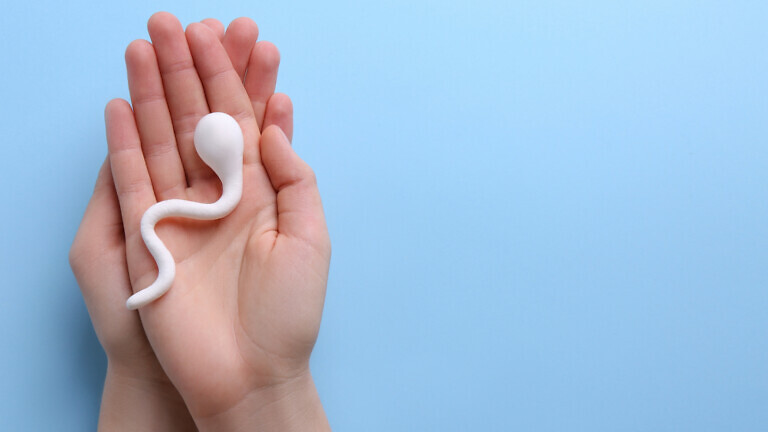 Male fertility