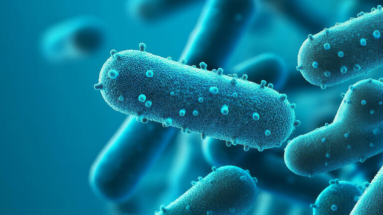 Antibiotic-resistant bacteria