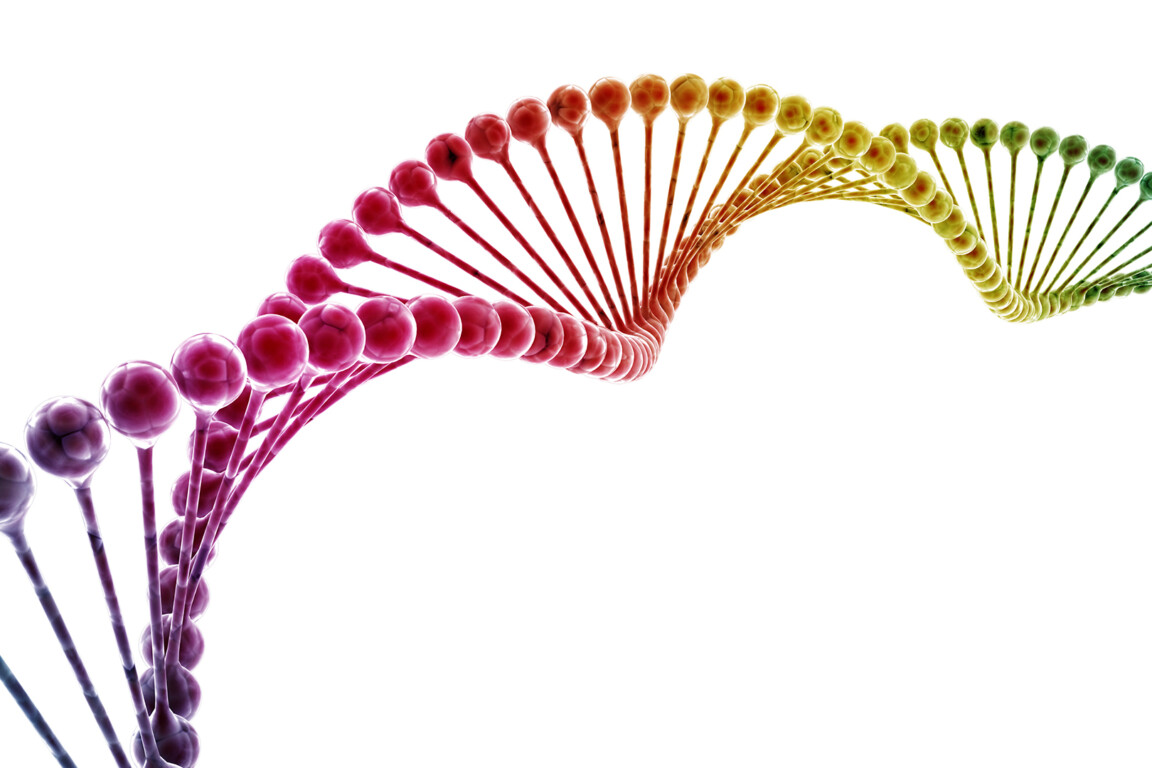 Multi-colour DNA model.