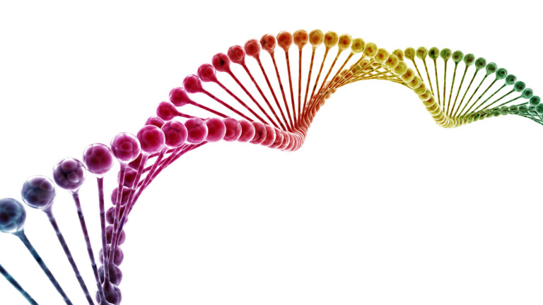 Multi-colour DNA model.