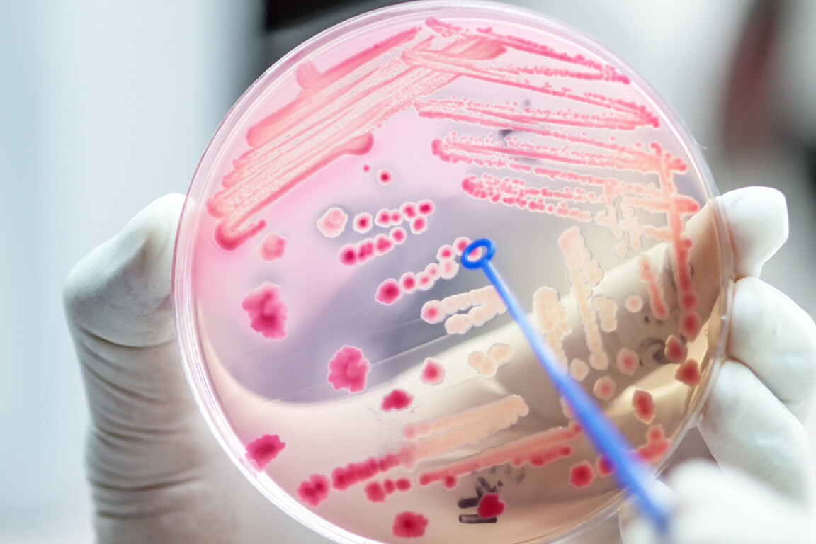 APAC countries fight antimicrobial resistance
