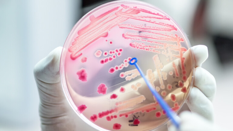 APAC countries fight antimicrobial resistance