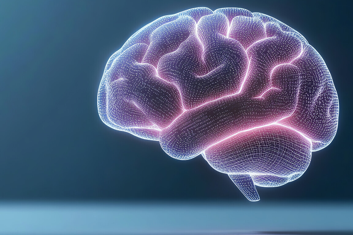 A glowing representation of a human brain showcasing neural connections.
