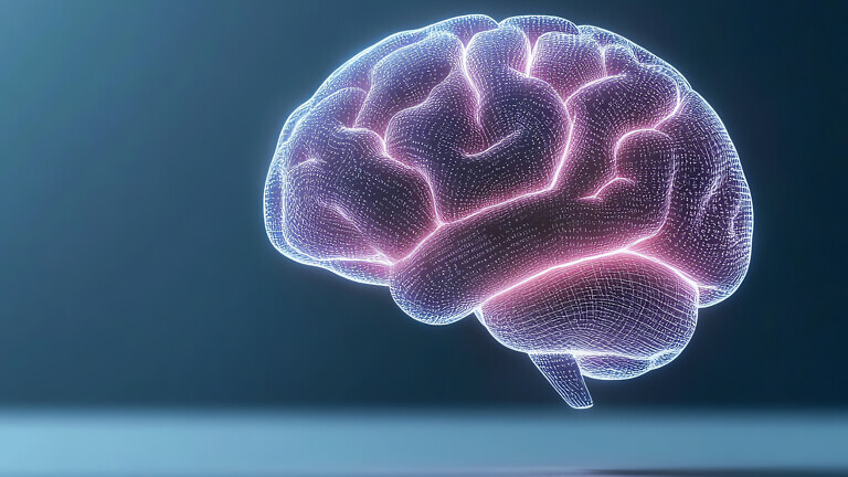 A glowing representation of a human brain showcasing neural connections.