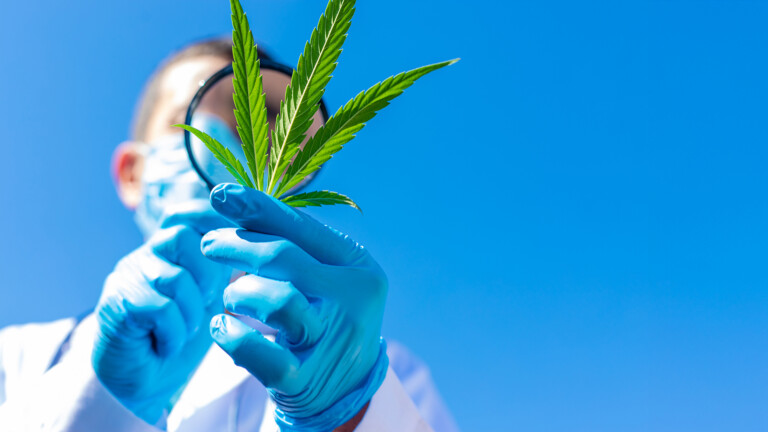 Medical cannabis