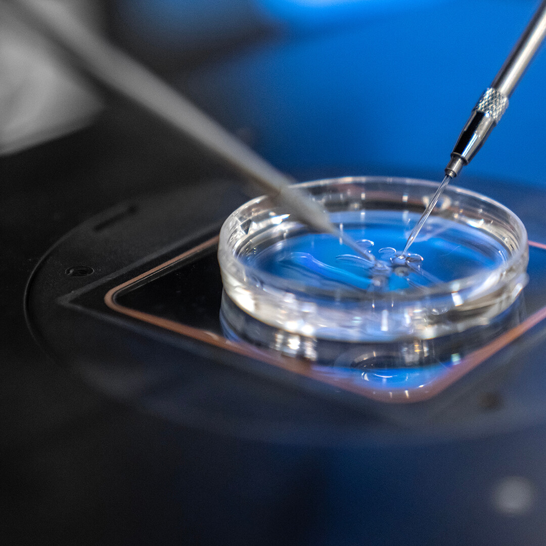 Biotechnology
