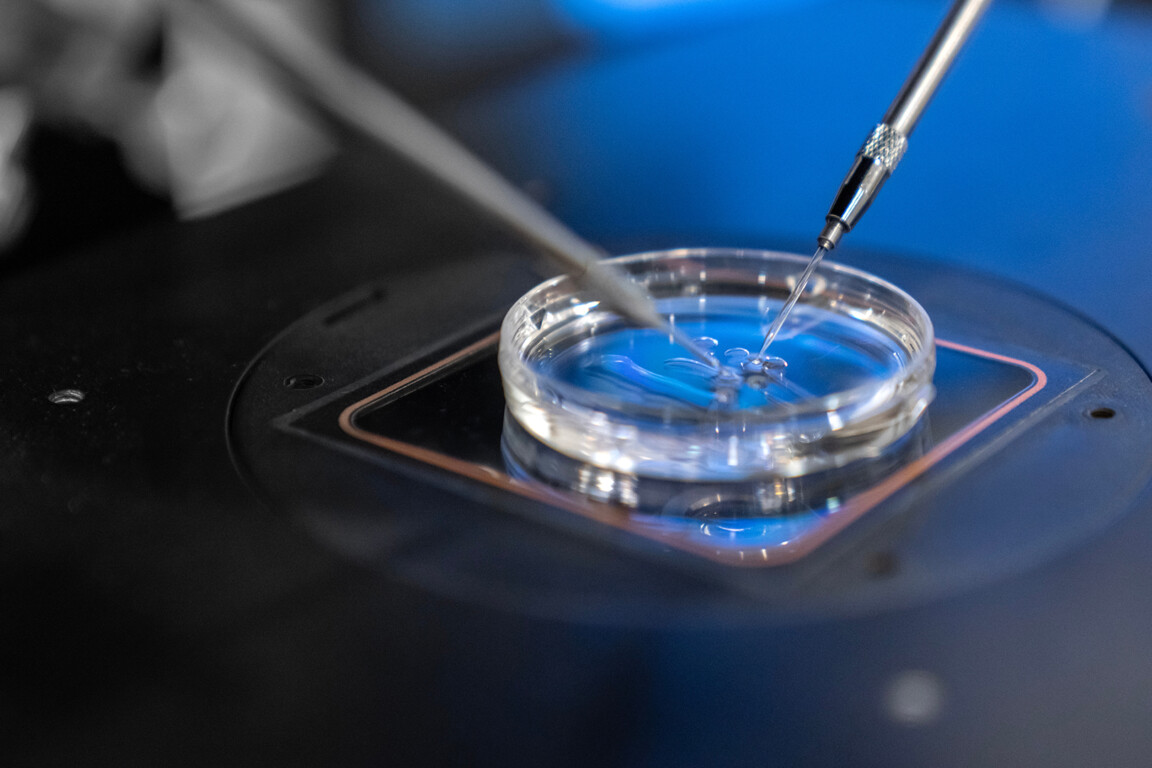 Biotechnology