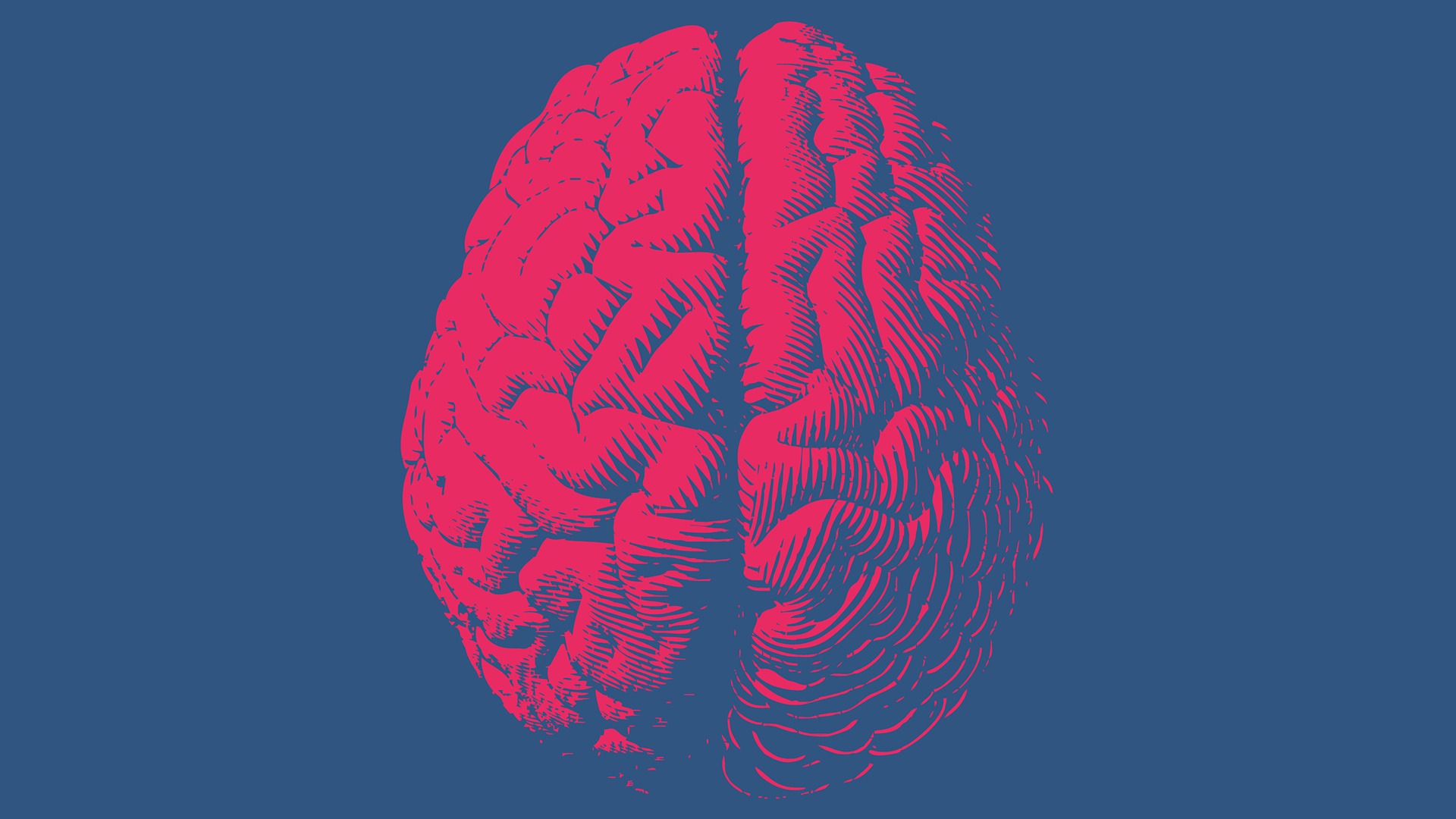 Clinical tool predicts growth of brain tumours