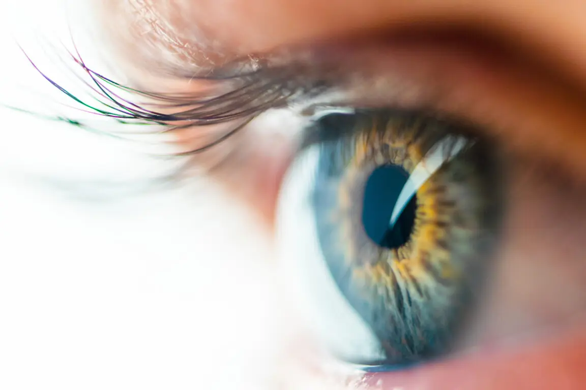 Human Eye Macro View