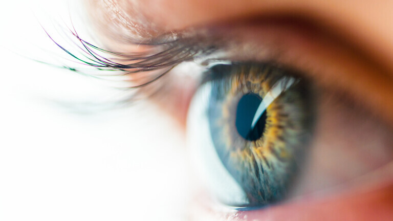 Human Eye Macro View