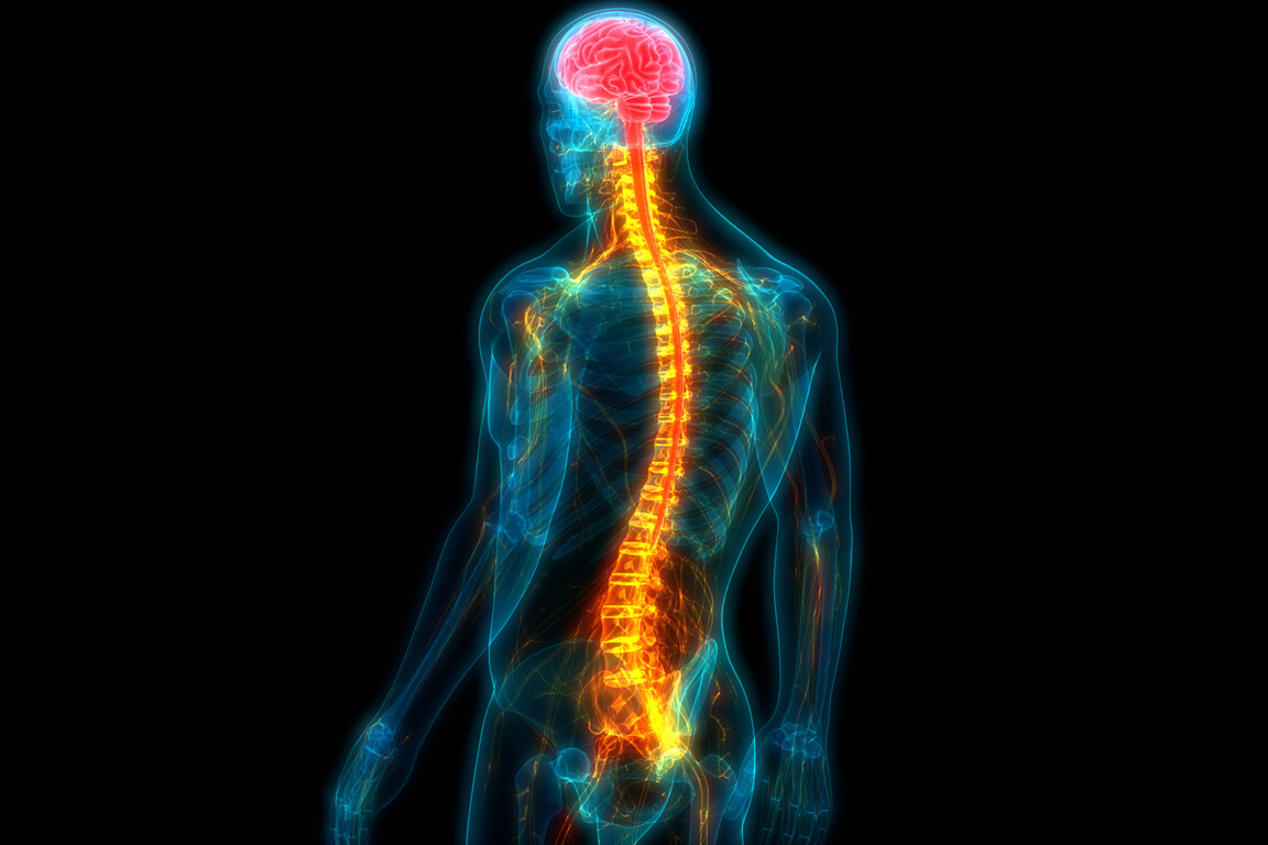Spinal cord injury