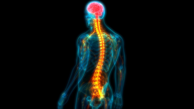 Spinal cord injury