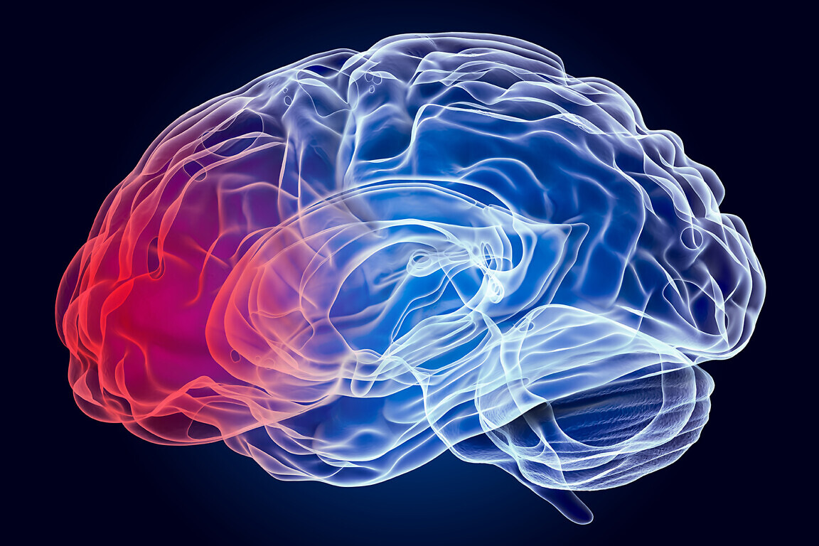 Brain concept.