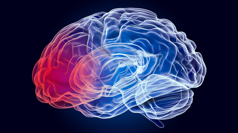 Brain concept.