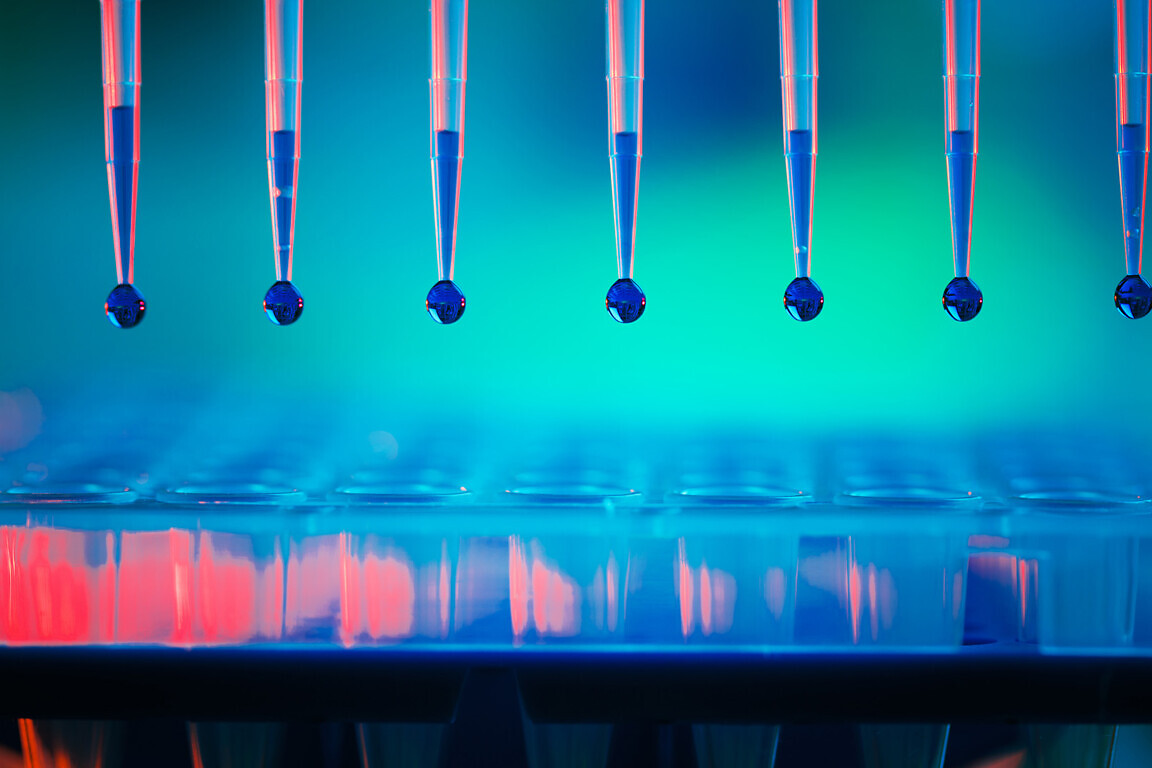 Multipette and multiwell tray, experiment in the microbiology laboratory