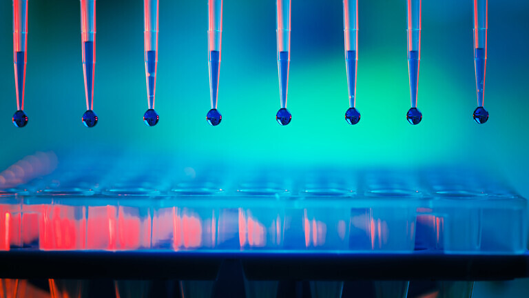 Multipette and multiwell tray, experiment in the microbiology laboratory