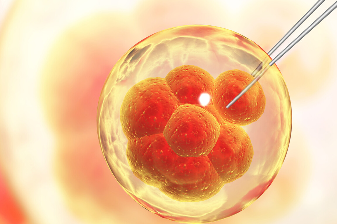 Genetic engineering
