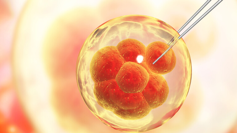 Genetic engineering