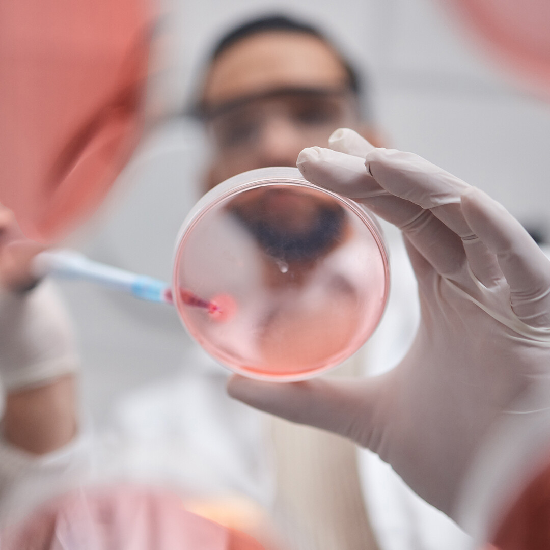 Green shoots for UK pharma investment