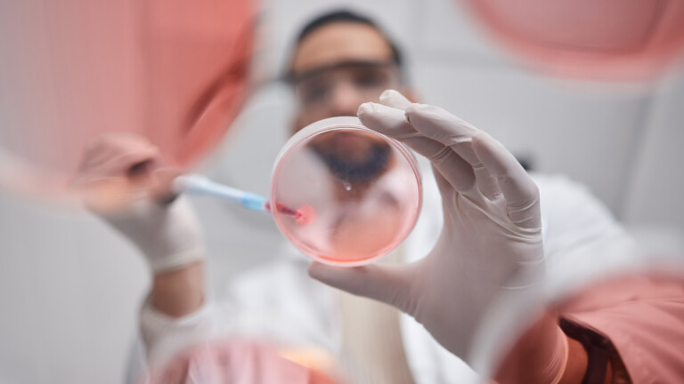 Green shoots for UK pharma investment