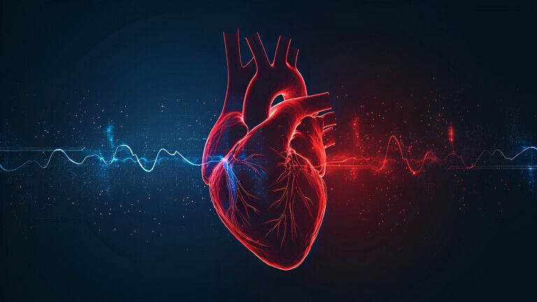 Digital 3D illustration of a human heart.