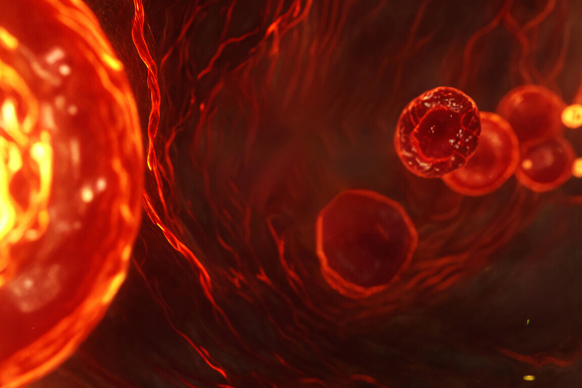 Blood cells flowing through an artery, emphasizing cardiovascular research, health care, and medical science. Detailed study of disease, anatomy, and cellular structure.