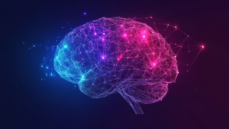 Abstract low-poly digital human brain.