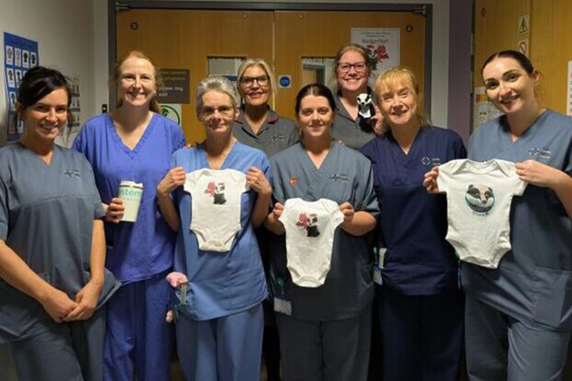 The launch of the BadgerNet maternity systerm at Betsi Cadwaladr University Health Board (Credit: Betsi Cadwaladr University Health Board)
