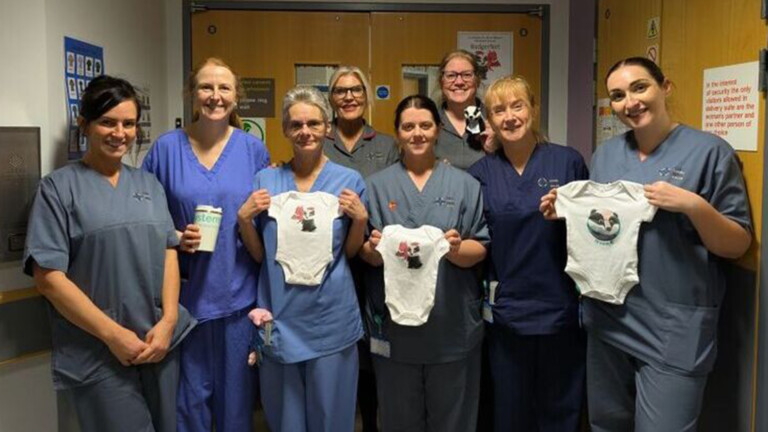 The launch of the BadgerNet maternity systerm at Betsi Cadwaladr University Health Board (Credit: Betsi Cadwaladr University Health Board)