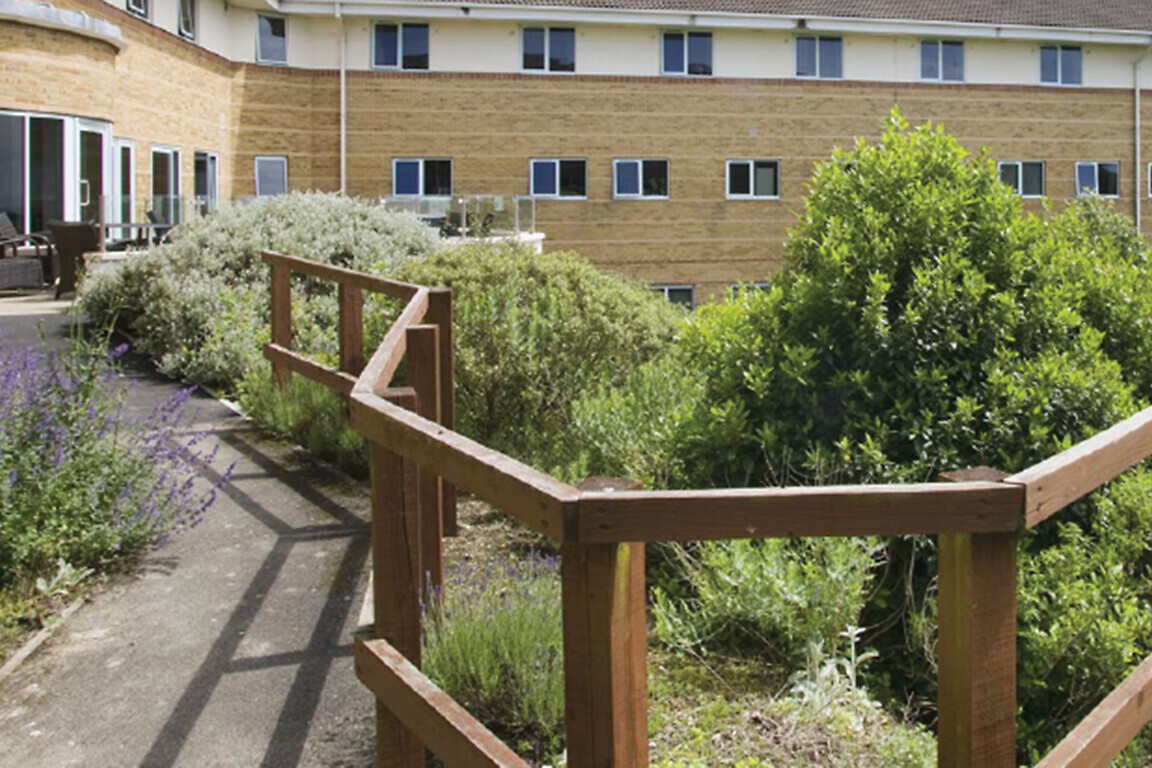 Icon asset expansion