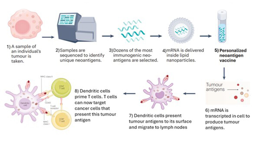 mRNA cancer vaccine